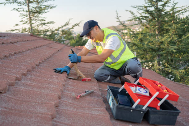 Best Roof Gutter Cleaning  in Georgetown, SC